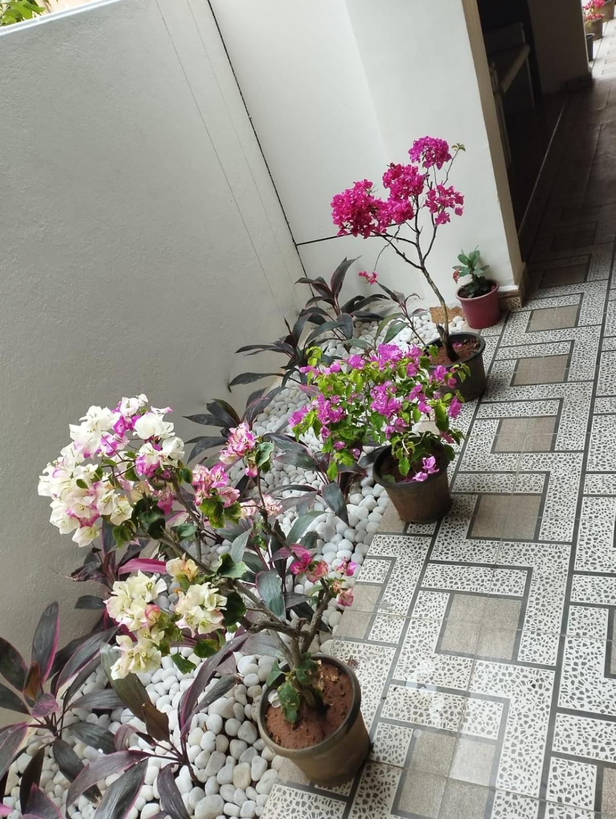 Hotel Annai Residency Vellore Exteriér fotografie
